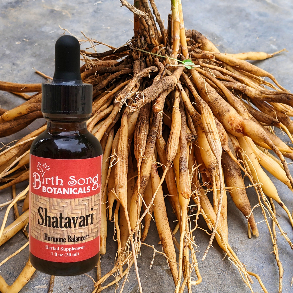 Shatavari, shatavari benefits, libido, adaptogen, herbs for women, perimenopause supplement, libido in women, natural hormones