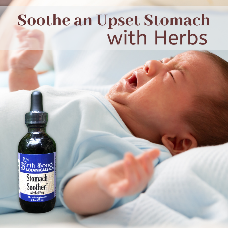 Stomach soother digestive aid peppermint gas relief, Digestive Supplement, Gas relief supplement, Bloating relief herbal, Indigestion remedy, Morning sickness support, Nausea relief supplement, colic, colicky, GERD, Ginger digestive aid, pregnancy
