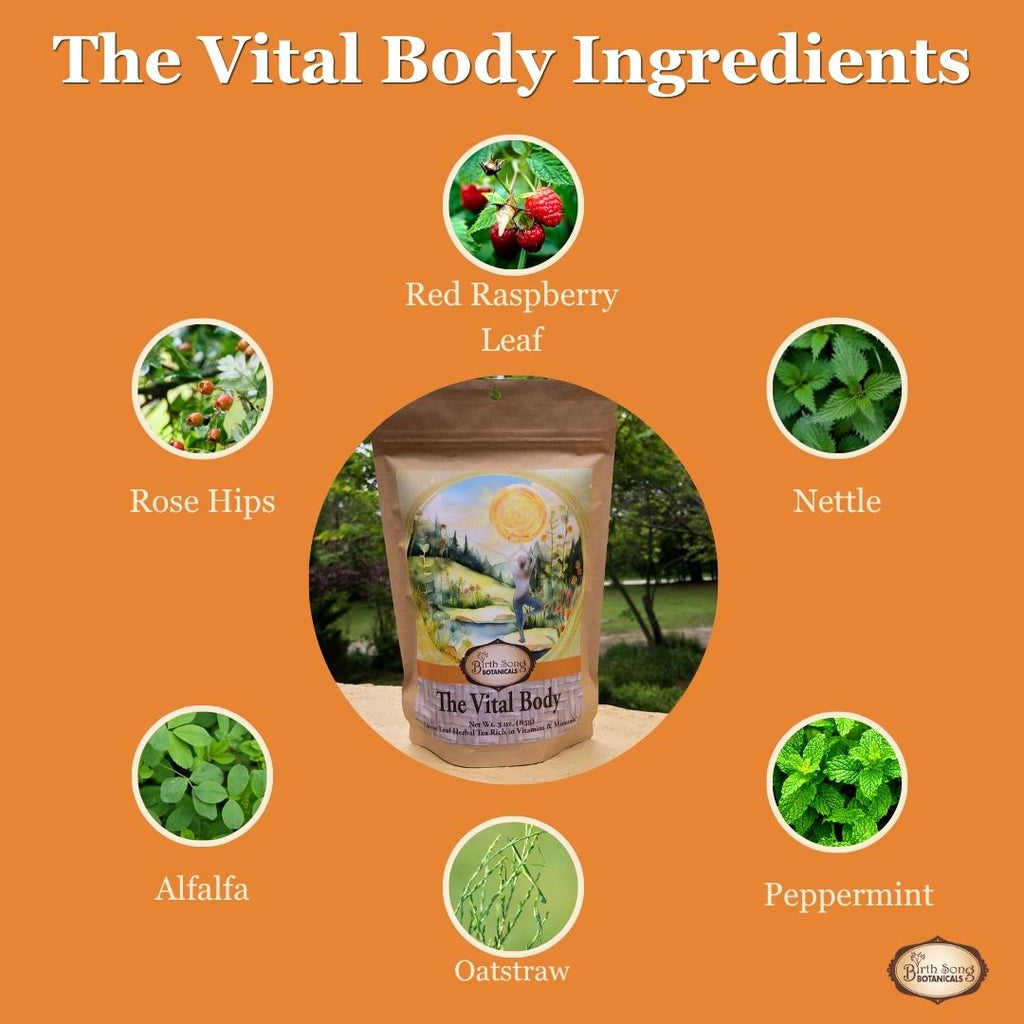 mineral rich herbal tea, nettle tea benefits, oatstraw infusion, herbal tea for energy, daily wellness tea, nutrient dense herbs, loose leaf herbal tea, natural vitamin tea, herbal nourishment blend, plant based minerals, vitality tea,