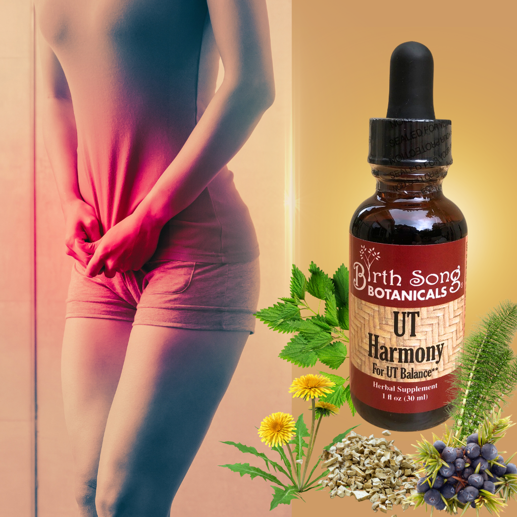 urinary health, UTI relief, natural UTI treatment, herbal UTI remedy, bladder health, UTI prevention, urinary tract health, herbal bladder support, UTI symptoms relief, natural bladder health, urinary infection treatment, herbal urinary support, UTI burning relief, bladder infection remedy, natural urinary health, UTI stinging relief, urinary pain relief, natural bladder infection treatment, herbal UTI prevention, UTI itching relief