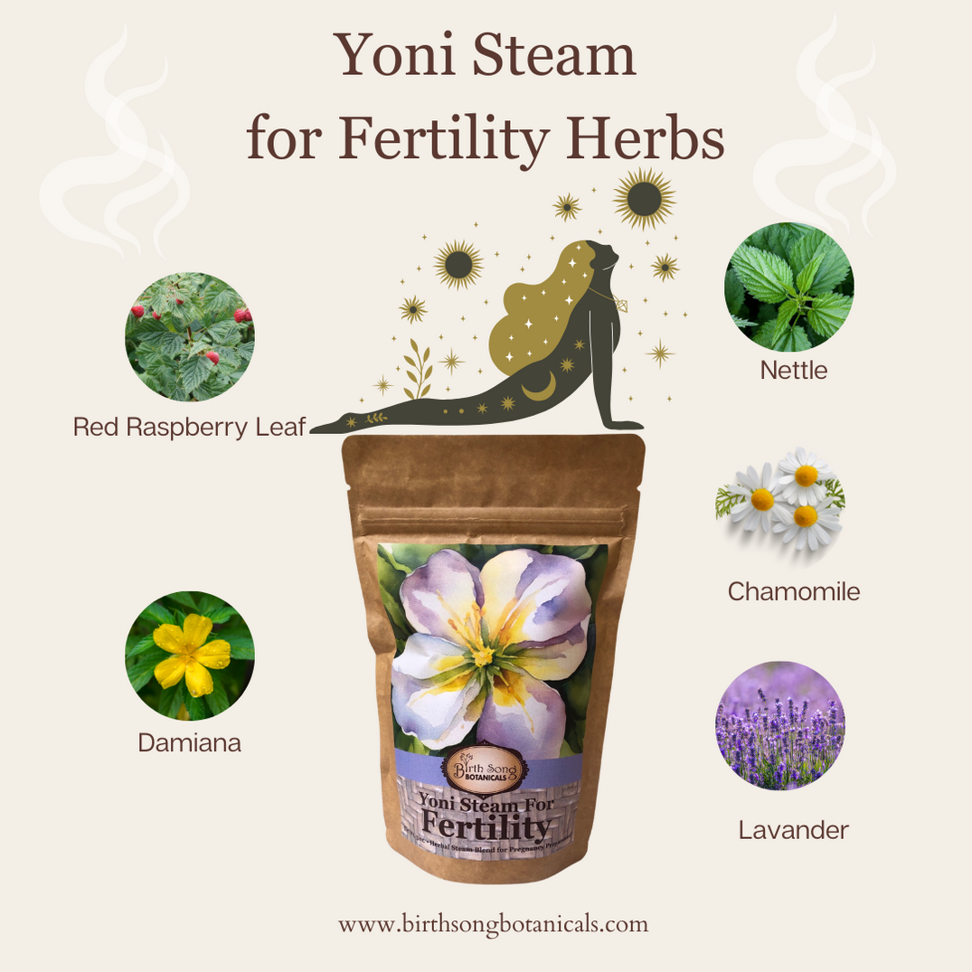 Yoni Steam Herbal Fertility Blend For Womb Health– Birth Song ...