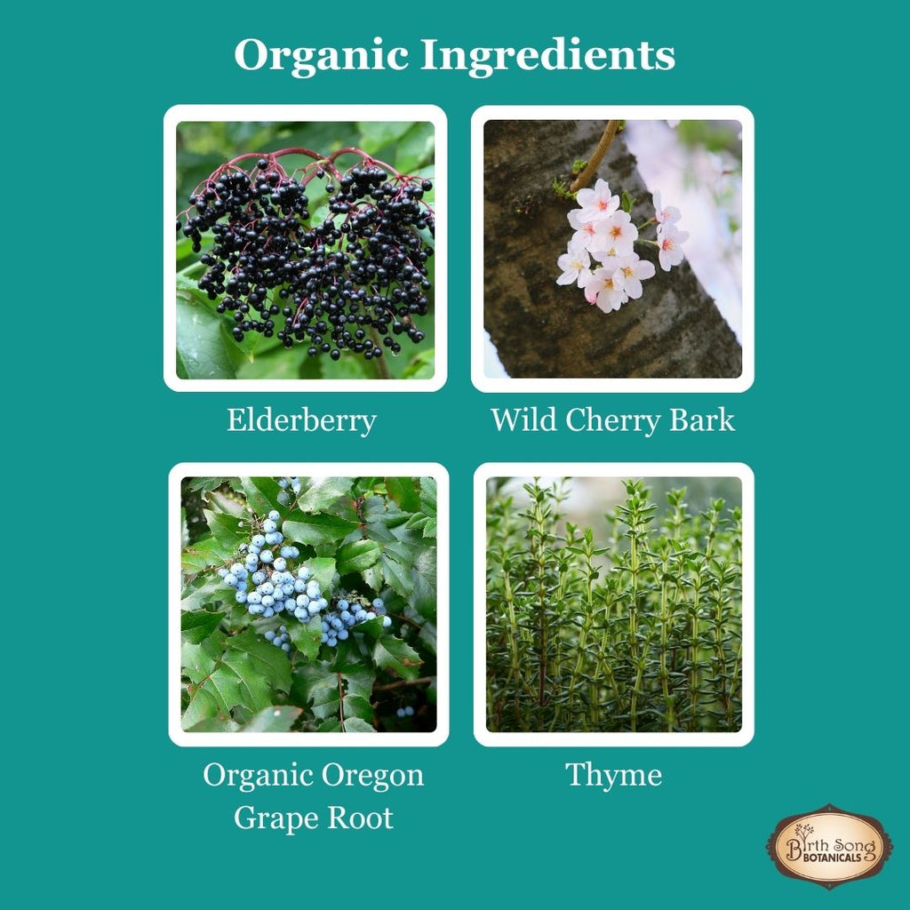 elderberry for children, liquid herbal tincture with elderberry, children's respiratory support supplement, ingredients 