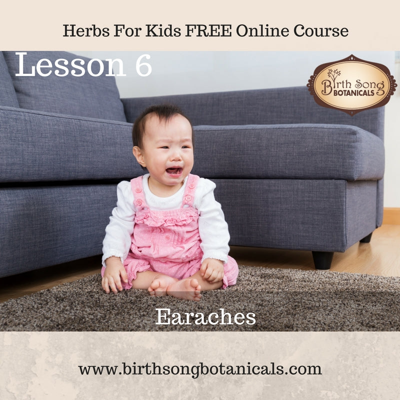 Lesson 6 Herbs for Kids Free Online Course