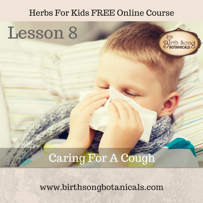 Lesson 8 Herbs for Kids Free Online Course