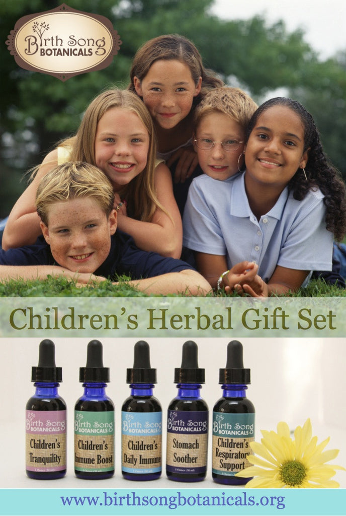 All Natural Children's Herbal gift set for the cold and flu season