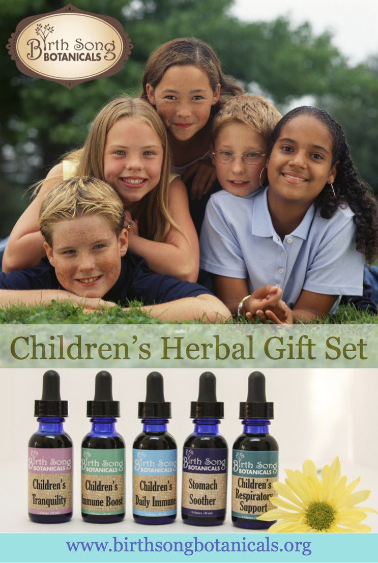 Herbal Kit for Children's Cold and Flu Symptoms Birth Song Botanicals Co.