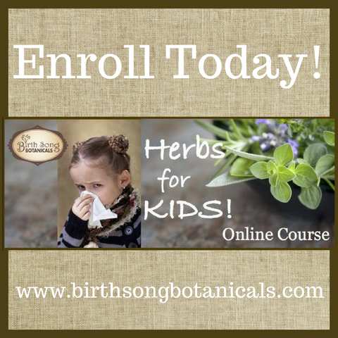 Herbs for Kids, Herbs for Kids Class, Herbs for Kids Fever, Herbs for kids Cough, Herbs for Kids Focus, Herbs for Kids Immune