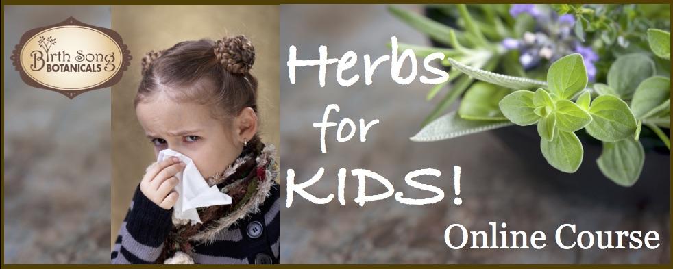 Herbs for Kids Free Online Course  banner